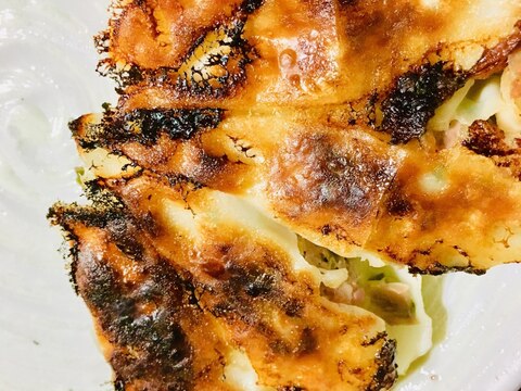 ラードで旨味アップ 餃子 レシピ 作り方 By Mamimumai 楽天レシピ